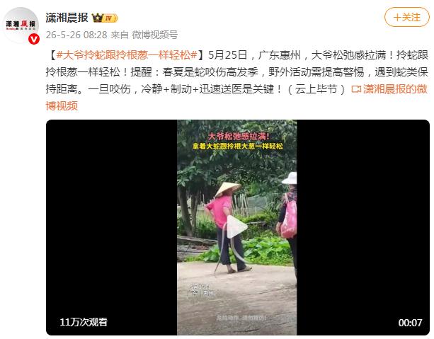 大爷拎蛇跟拎根葱一样轻松