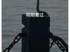 西湖边一条“青蛇”被围观 目前情况如何？