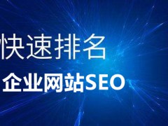 今日分享:企业网站快速排名优化推广的10个知识点