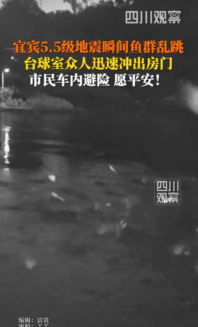宜宾地震瞬间鱼群乱跳