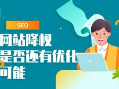 今日分享：网站降权的原因，如何判断是否真的降权？